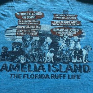 Amelia Island distressed washed tshirt